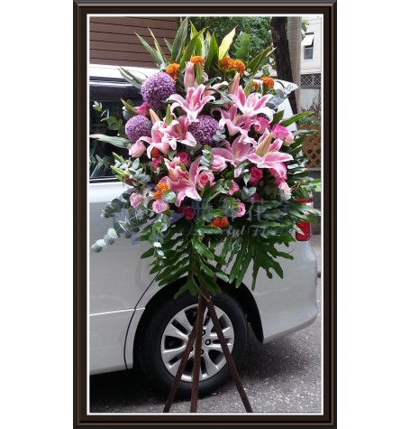 CBF-006
